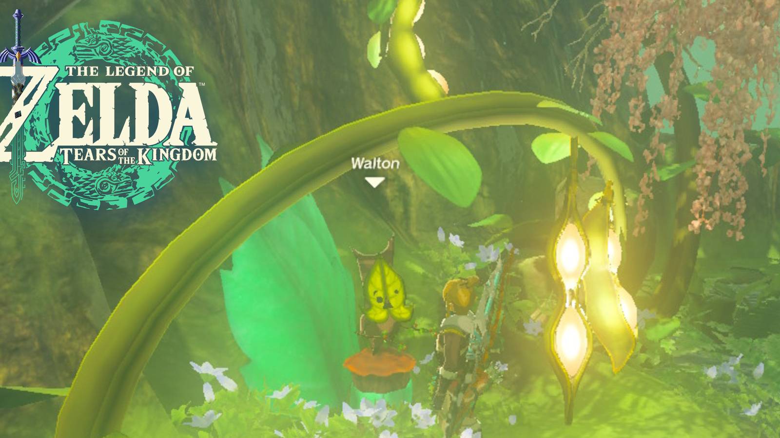 Zelda-Tears-Of-The-Kingdom-Walton-Korok-Quest-01