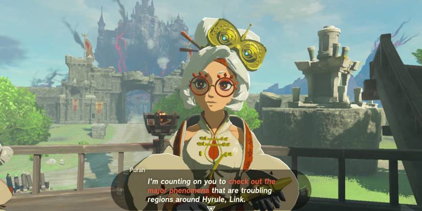 zelda totk crisis at hyrule castle walkthrough