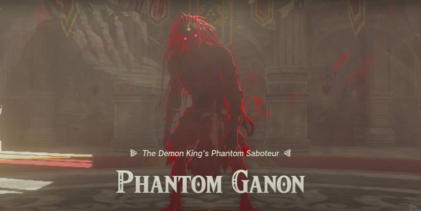 zelda totk crisis at hyrule castle walkthrough