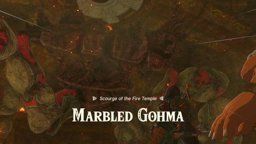 zelda totk fire temple walkthrough
