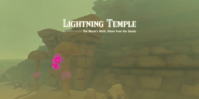 zelda totk lightning temple walkthrough