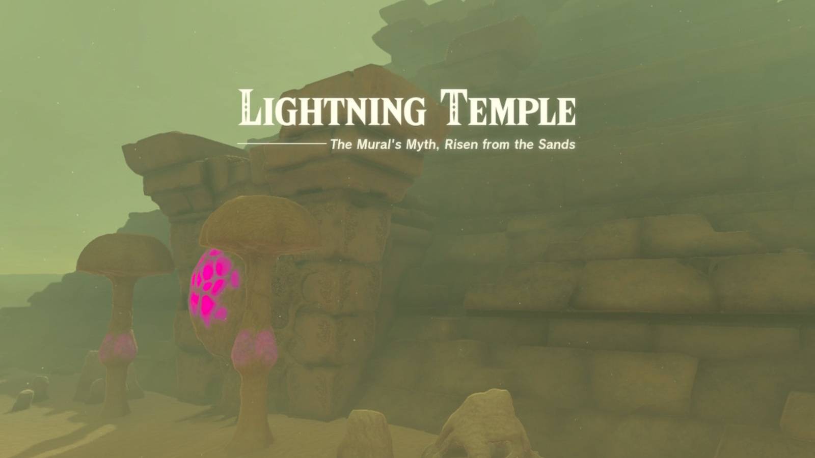 zelda totk lightning temple walkthrough