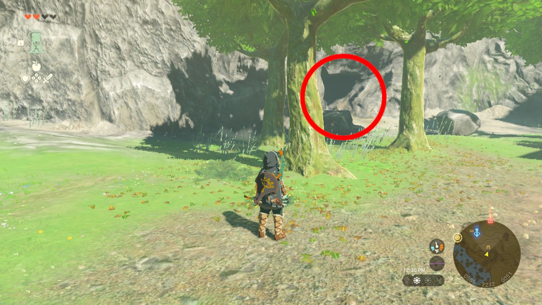 Zelda: Tears of the Kingdom - How To Fix Popla Foothills Skyview Tower