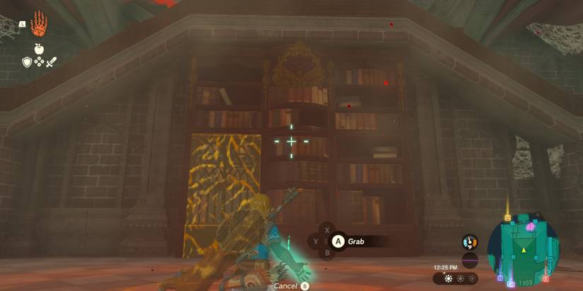 zelda totk royal boots bookcase