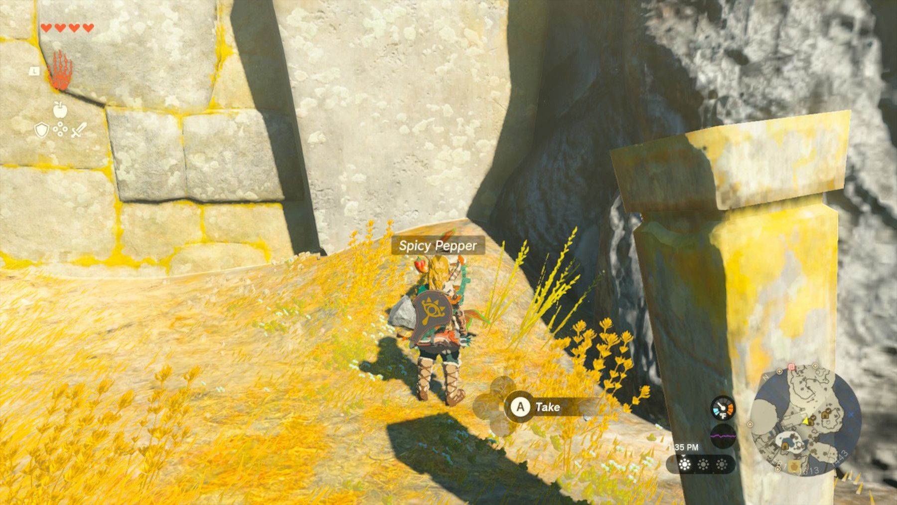 〈たま〉　スカラ➕神殿 Zelda: Tears of the Kingdom - How to Get to Third Shrine on