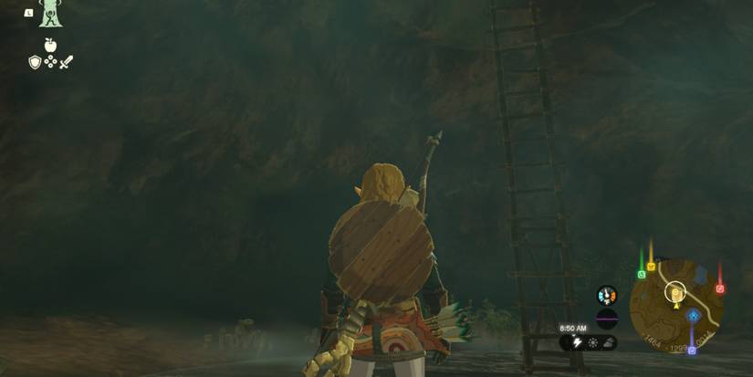 zelda totk well ladder