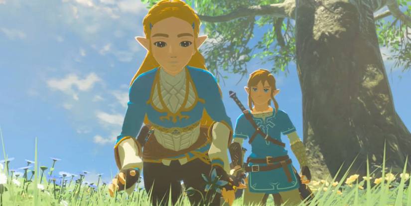 Zelink BOTW