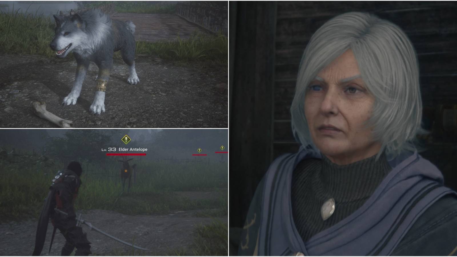 Completing the A Bone to Pick side quest in Final Fantasy 16