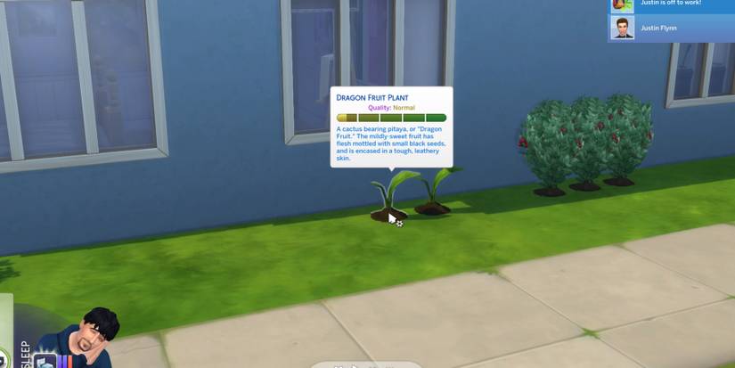 A Dragon Fruit Plant in The Sims 4