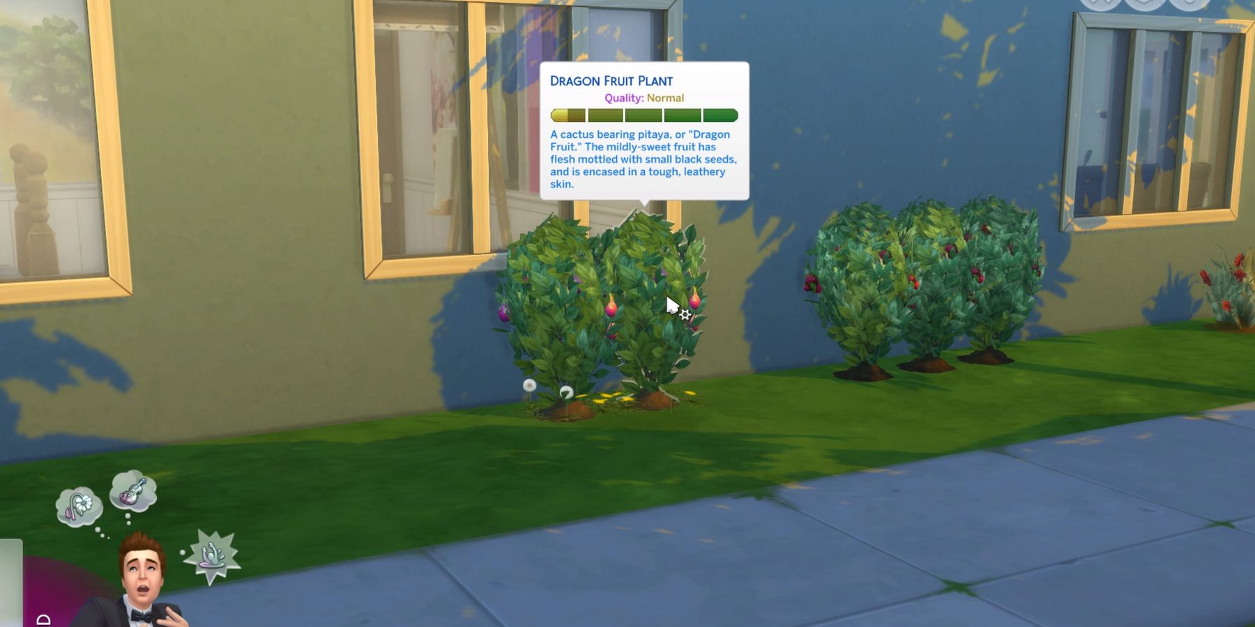 A Dragon Fruit Plant in The Sims 4