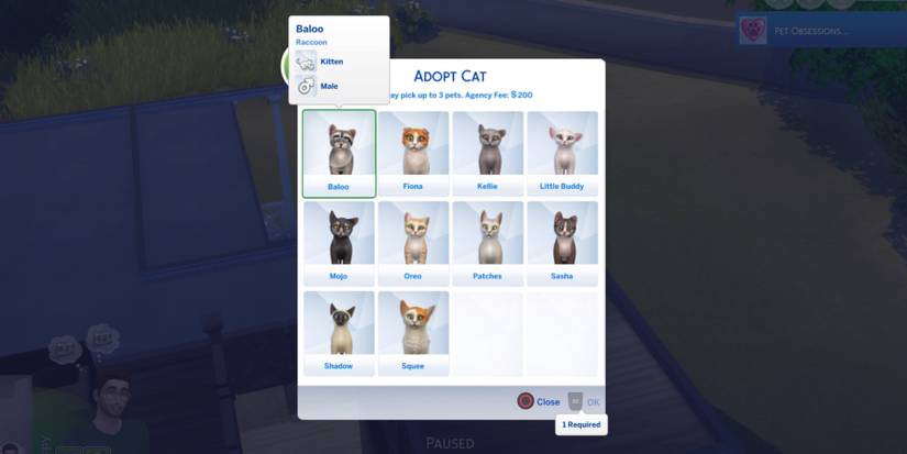 Adopting a cat in The Sims 4