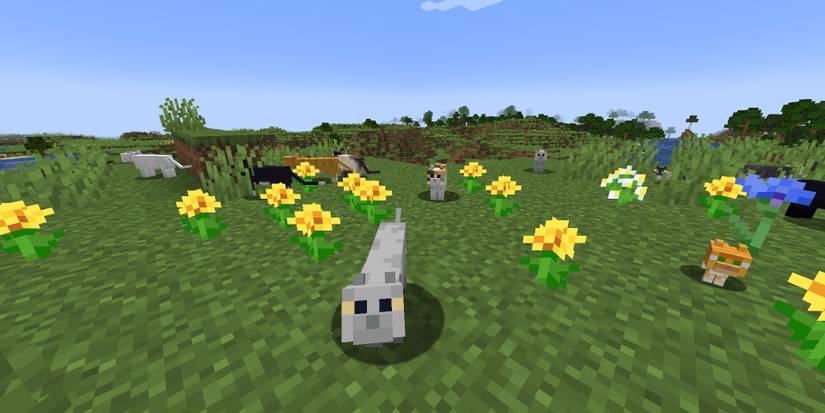 Cat surrounded by flowers