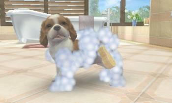 3DS_nintendogs_04scrn04_U_Ev