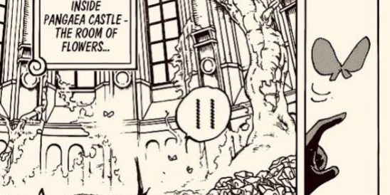 The Secret of One Piece's Phantom Room Unveiled