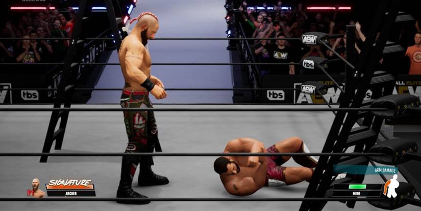 AEW Fight Forever -  a ladder perched against the corner