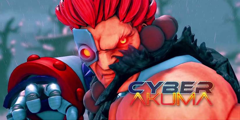 Akuma Street Fighter Costume