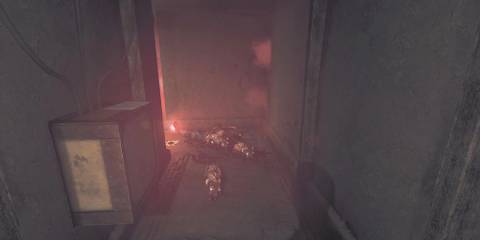 A group of the rats rounding a corner towards Henri