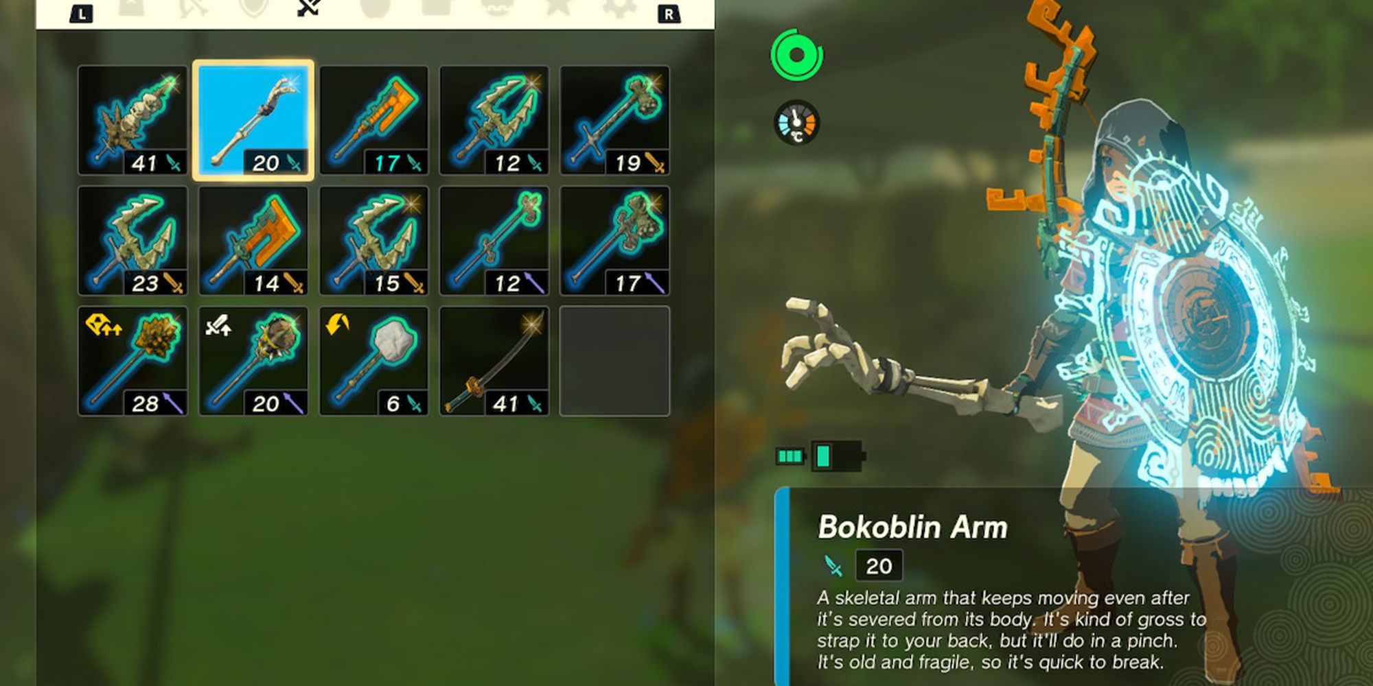 Link holding a Stalkoblin Arm