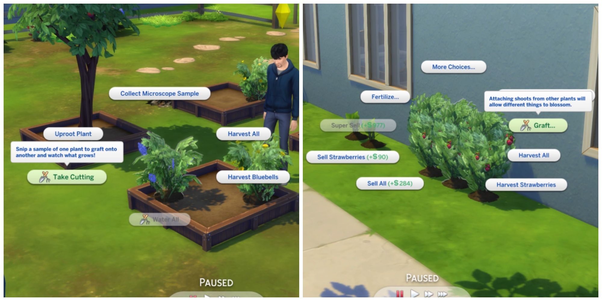 Cutting and grafting plants in The Sims 4