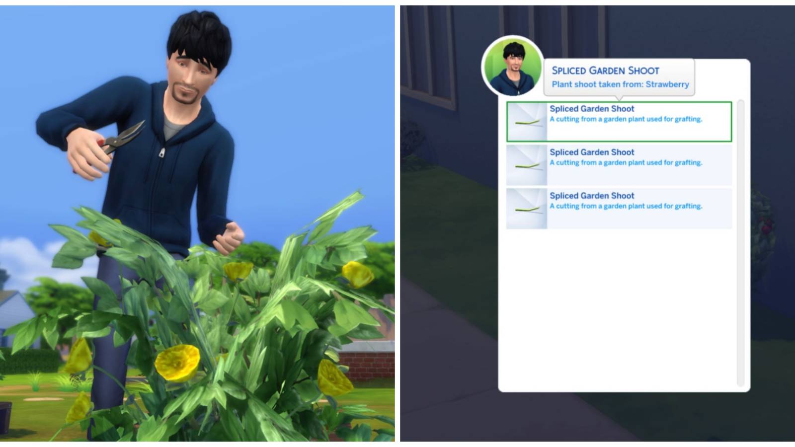 Grafting a plant in The Sims 4