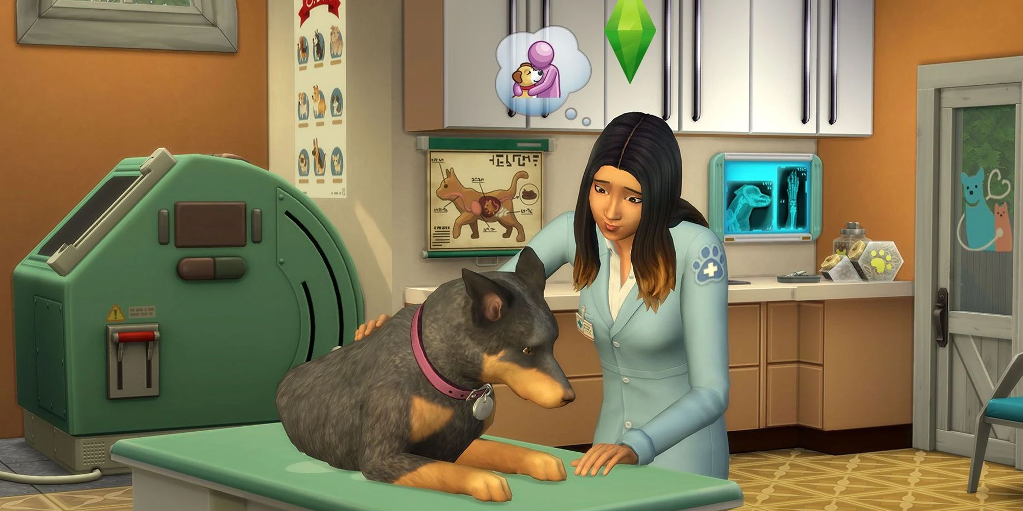 Vet Sim looking after dog in The Sims 4: Cats & Dogs