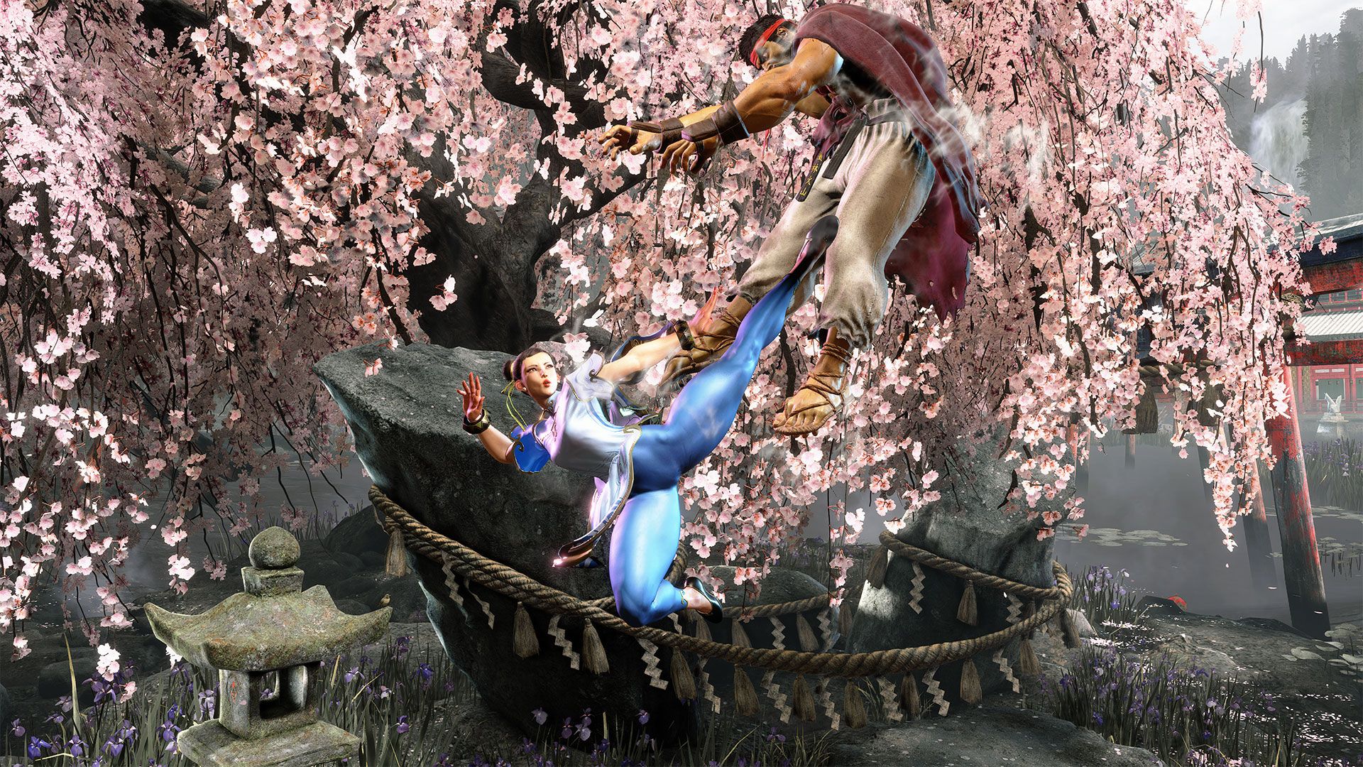 Chun-Li kicks Ryu in mid air