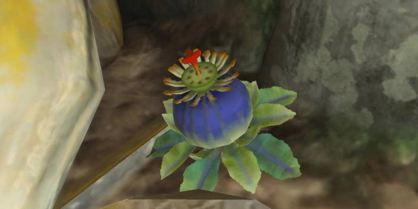 New item in Tears of the Kingdom, they explode near heat, electricity or when thrown.