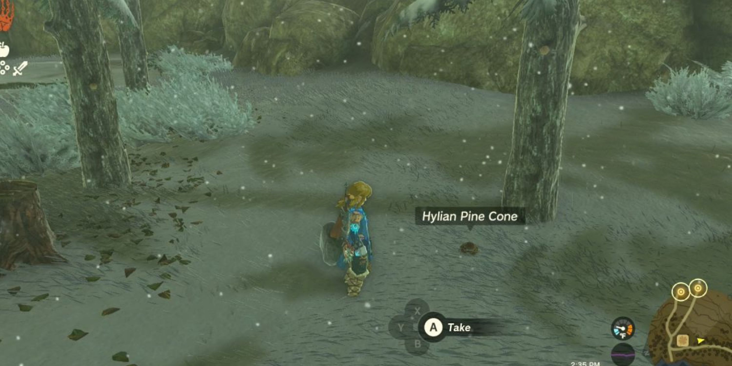 Hylian pine cones are small but filled with oil and will cause an explosion when thrown into a fire.