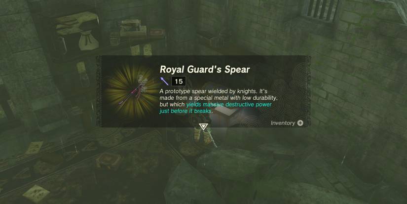 The Royal Guard's Spear can be found in Hyrule Castle