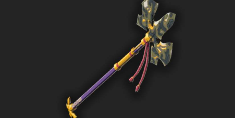 The Royal Halberd can be found in Hyrule Castle