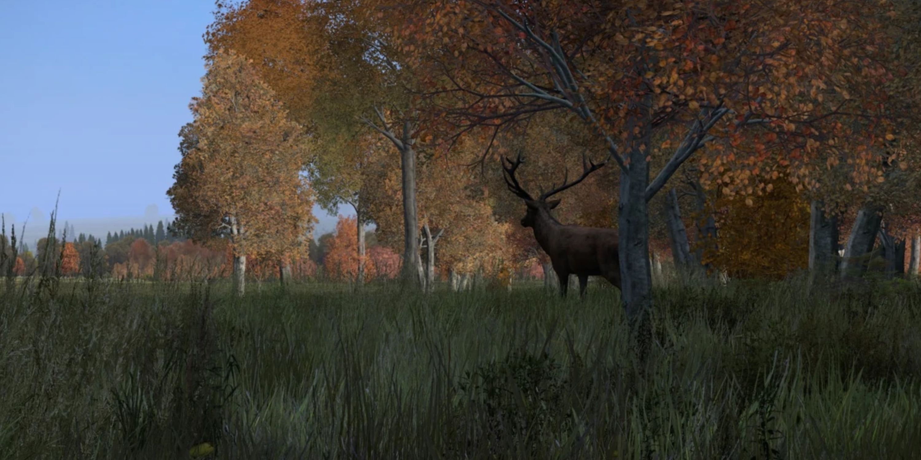hunting deer in the woods in dayz
