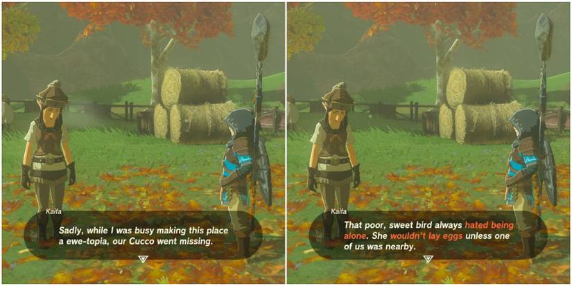 kaifa recalls cucco at south akkala stable