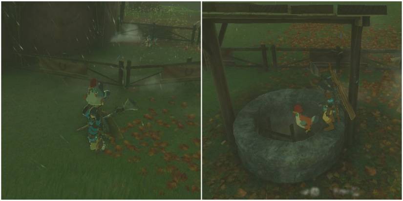 bringing another cucco to the well