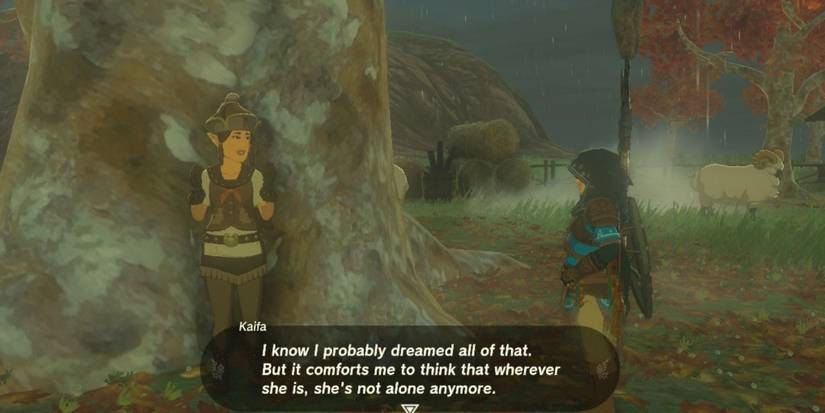 kaifa reaction after link makes cucco happy