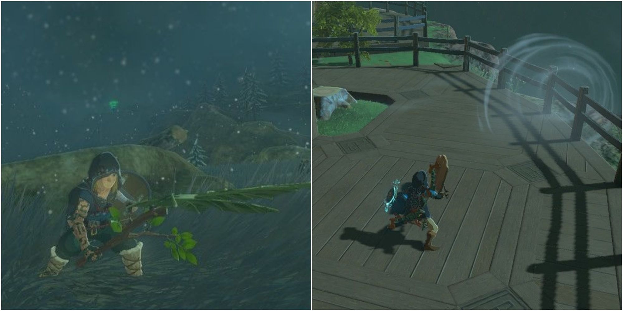 link with a korok frond fan and link at tarrey town