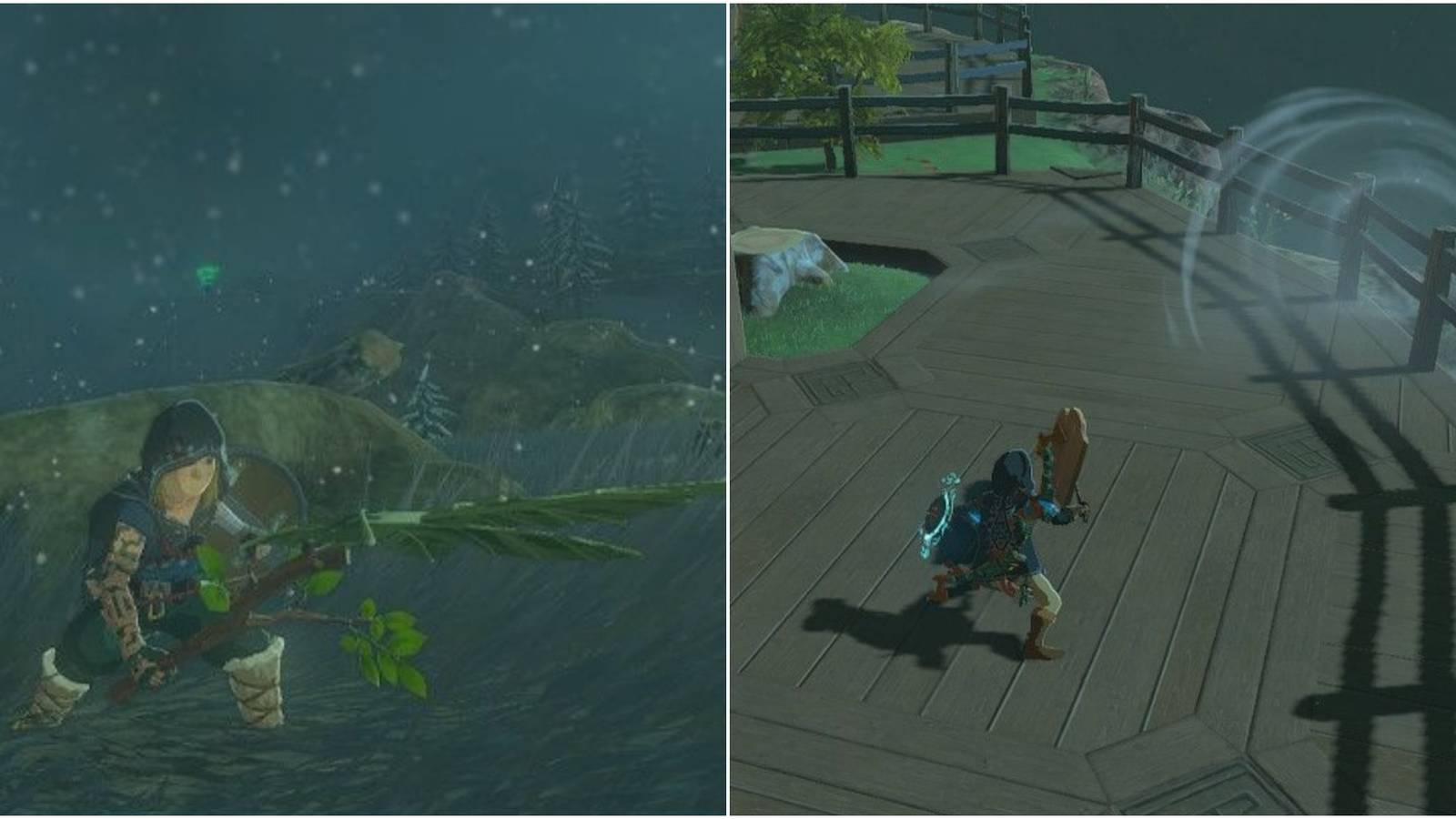 link with a korok frond fan and link at tarrey town