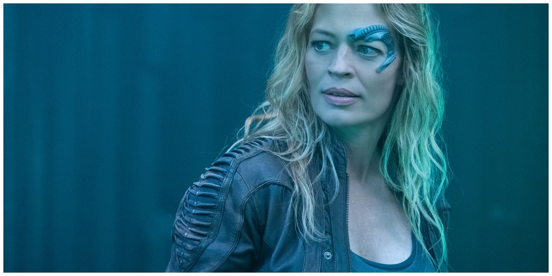 Jeri Ryan as Seven of Nine