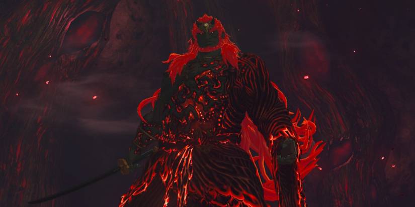  The Legend of Zelda Tears of the Kingdom