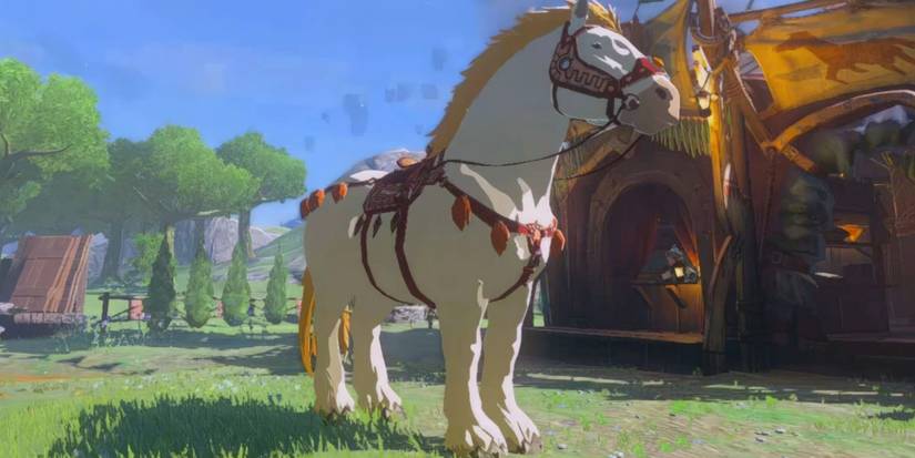 Giant White Stallion in Tears of the Kingdom