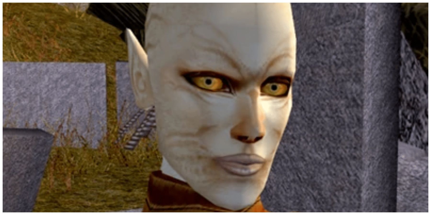Juhani in Star Wars Knights of the Old Republic