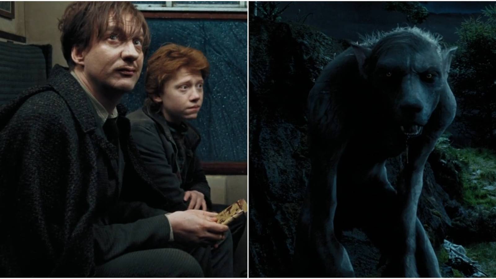 Split image of Remus Lupin and Ron Weasley and Lupin turned into a Werewolf in Harry Potter and the Prisoner of Azkaban. 