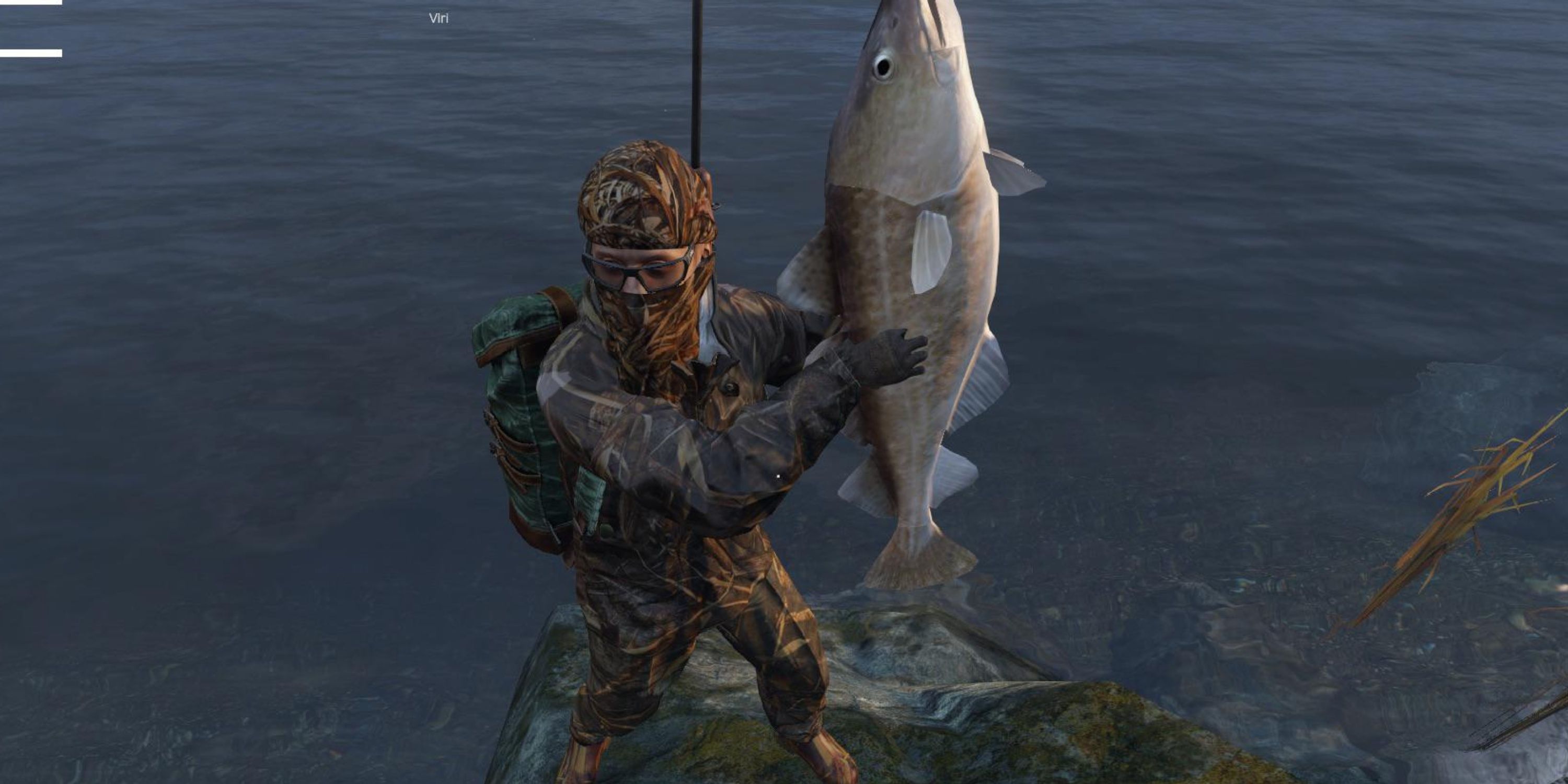 dayz player catching a large mackerel fish