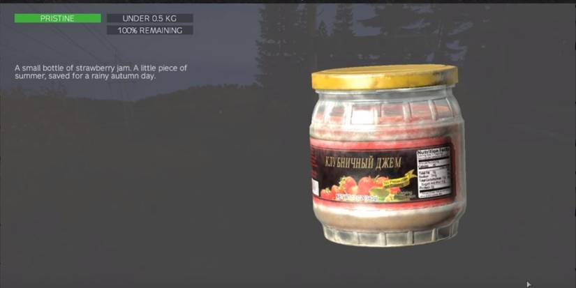 strawberry jam info screen in dayz