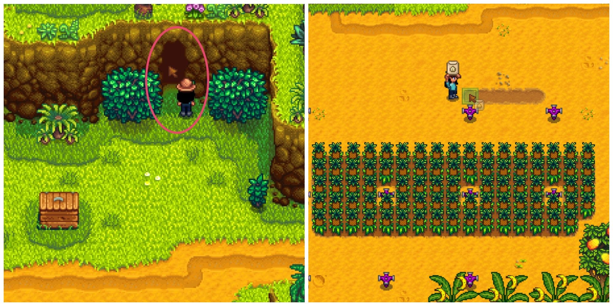 Everything You Need to Know About Stardew Valley: Ginger Island in 2023