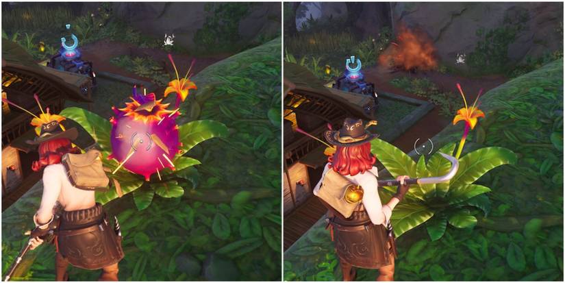 activating a bomb flower in the jungle