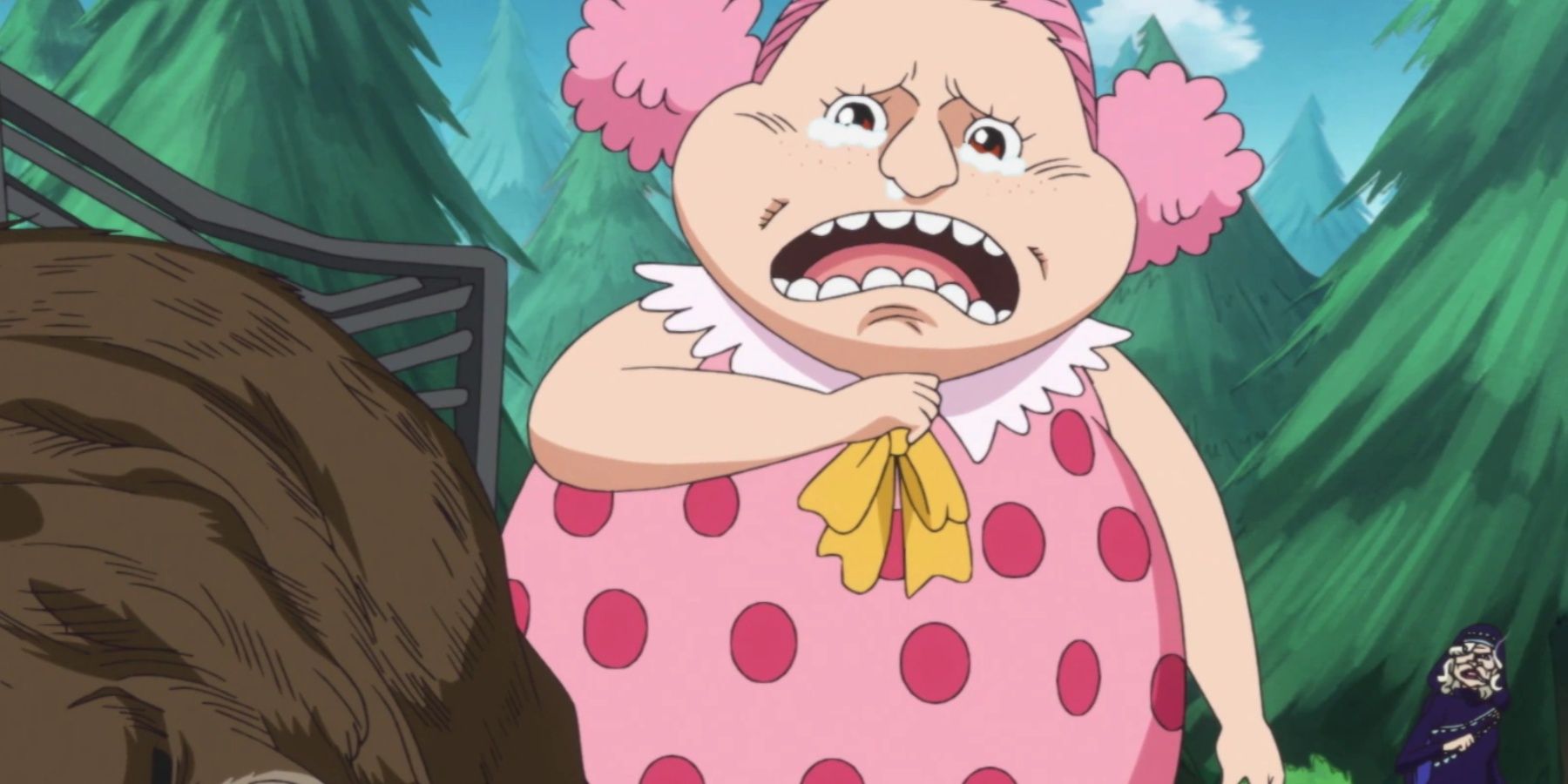 Young Big Mom Crying At A Dead Bear In One Piece