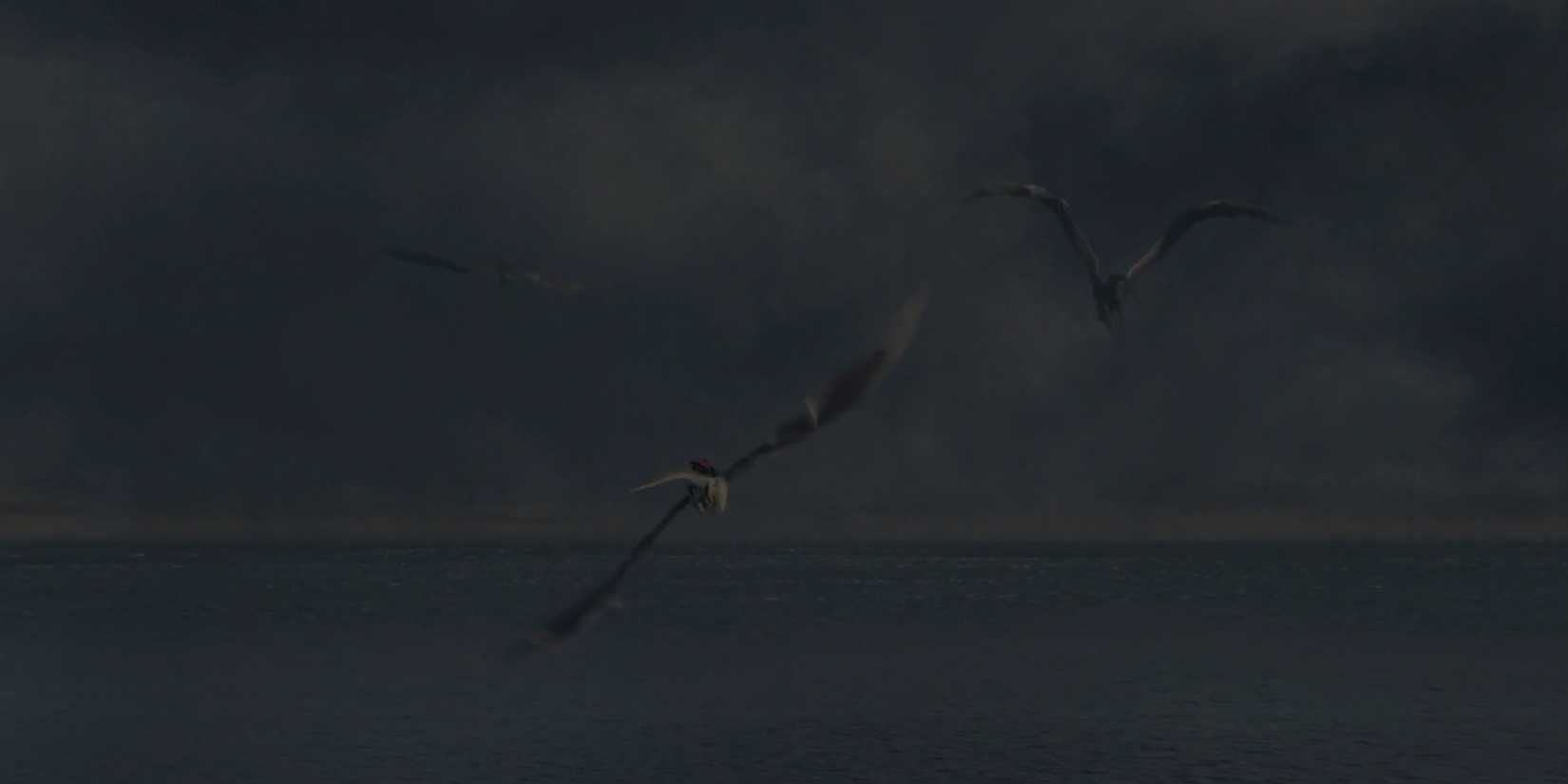 Rhaenys, Jacaerys, and Lucerys leave Driftmark on dragonbacks in House of the Dragon.