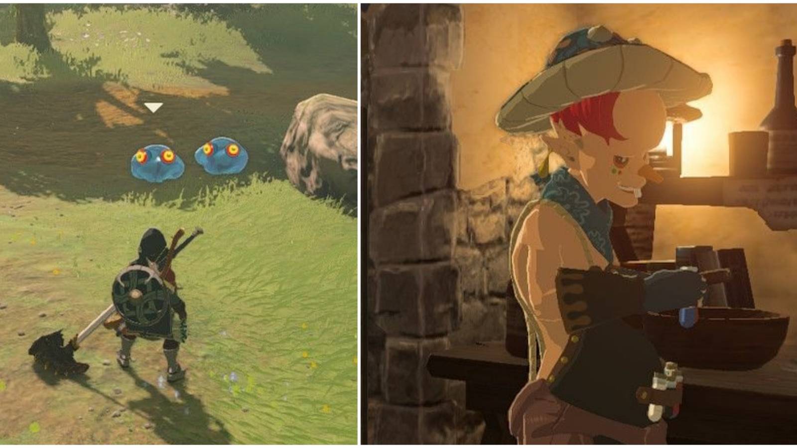 encountering chuchus and talking to sayge