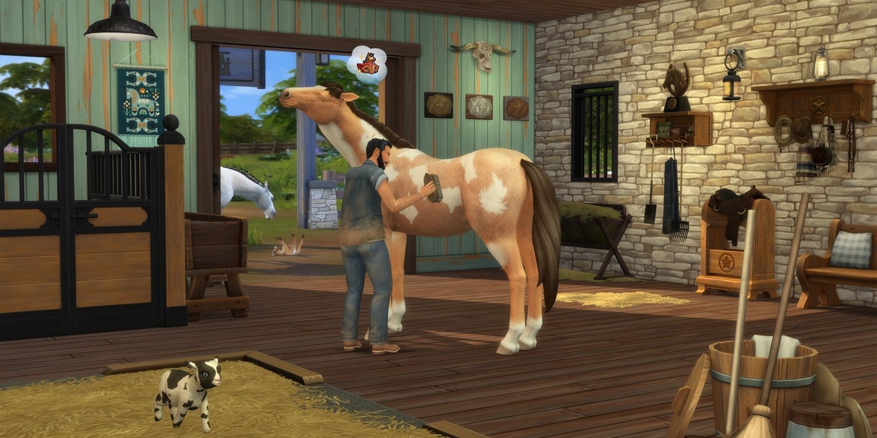 taking care of horse in new horse expansion pack