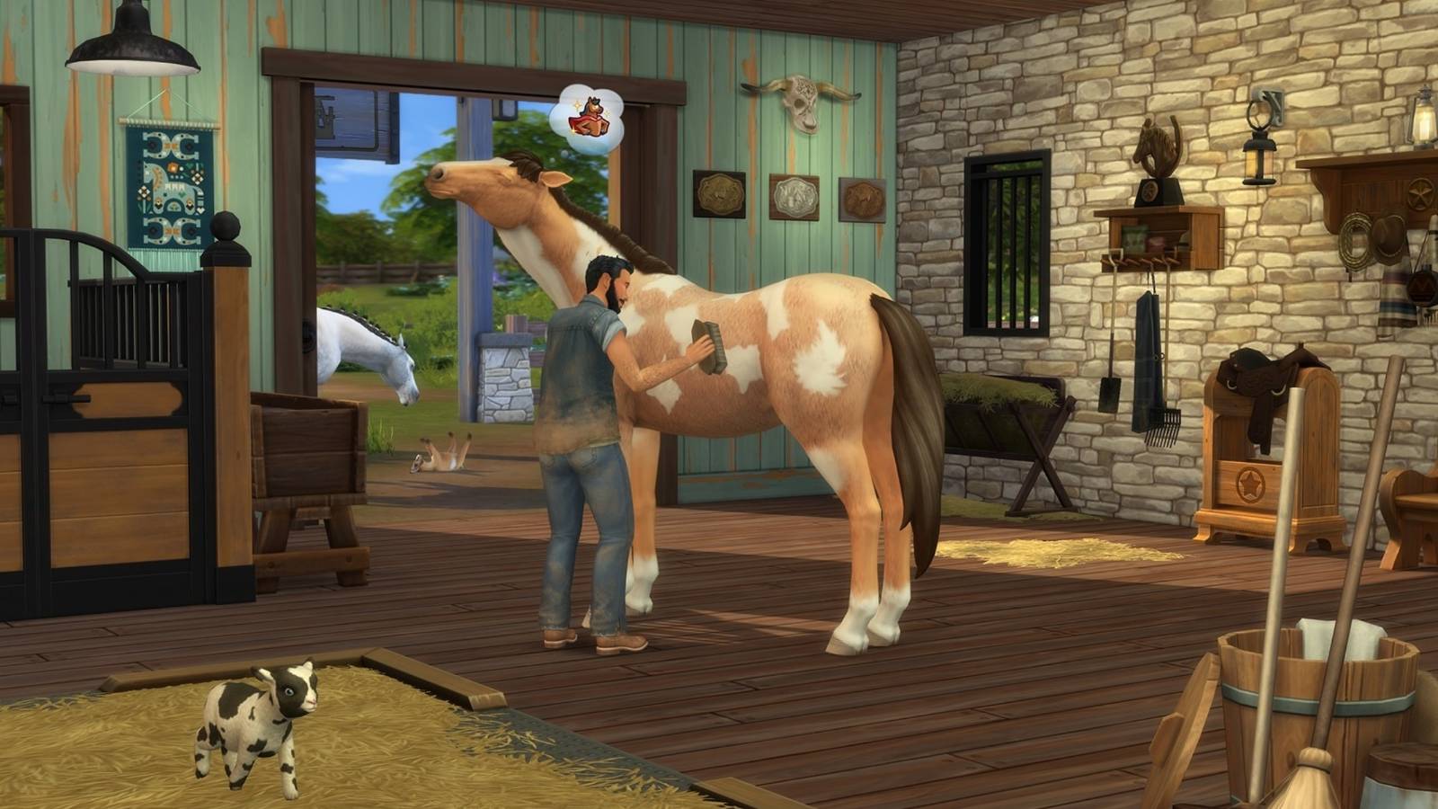 taking care of horse in new horse expansion pack
